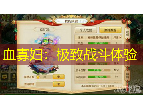血寡妇：极致战斗体验