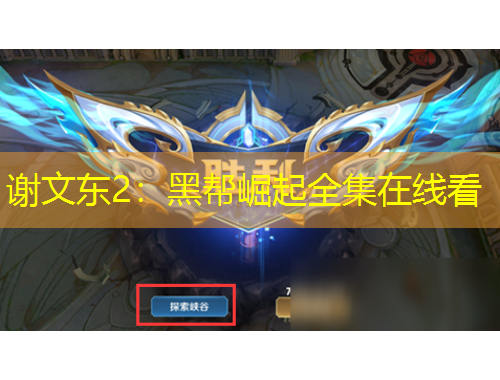 谢文东2：黑帮崛起全集在线看
