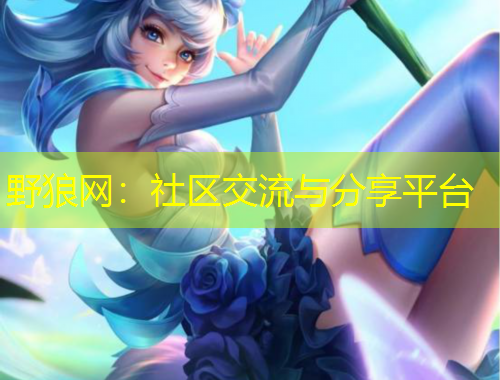 野狼网：社区交流与分享平台