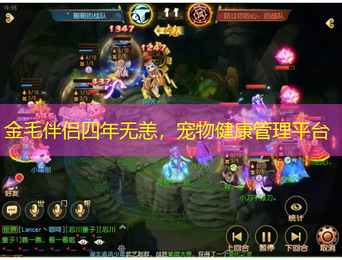 金毛伴侣四年无恙，宠物健康管理平台