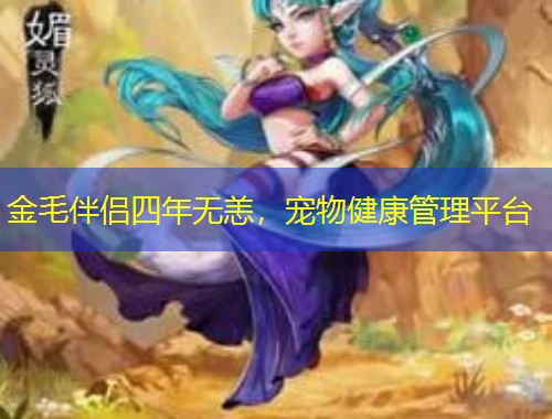 金毛伴侣四年无恙，宠物健康管理平台