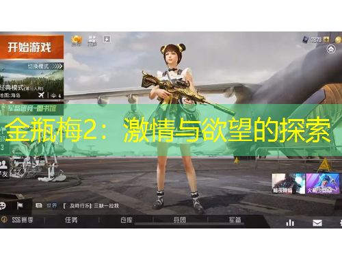 金瓶梅2:激情与欲望的探索