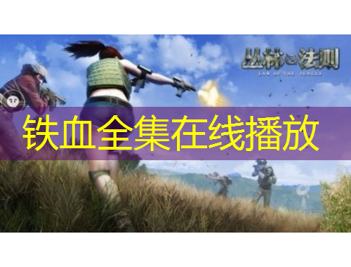 铁血全集在线播放