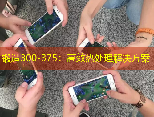 锻造300-375:高效热处理解决方案