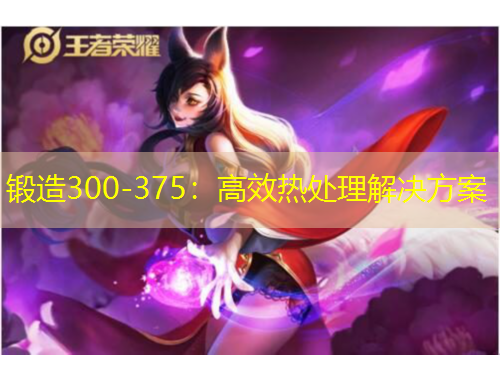 锻造300-375：高效热处理解决方案