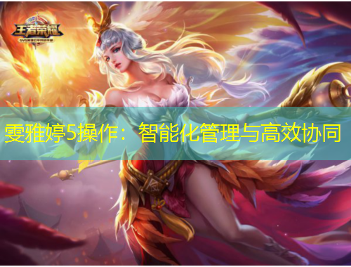 雯雅婷5操作：智能化管理与高效协同
