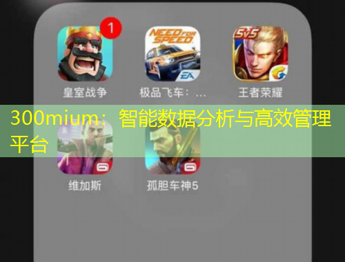 300mium：智能数据分析与高效管理平台