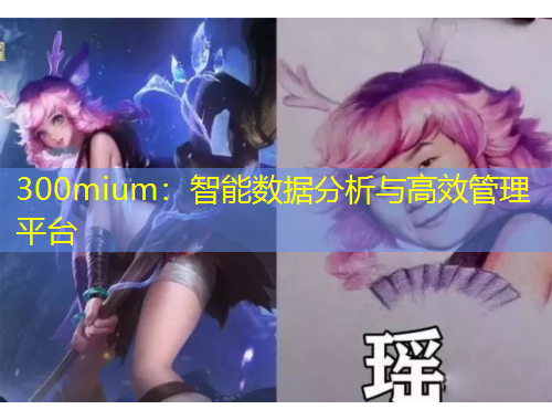 300mium：智能数据分析与高效管理平台