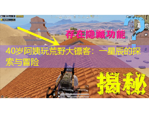 40岁阿姨玩荒野大镖客：一星辰的探索与冒险