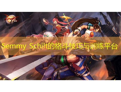 Semmy Schilt的格斗技巧与训练平台