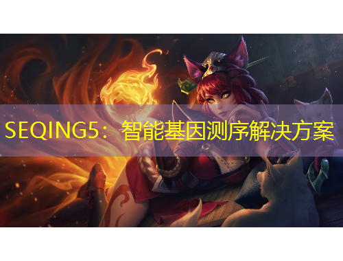 SEQING5：智能基因测序解决方案