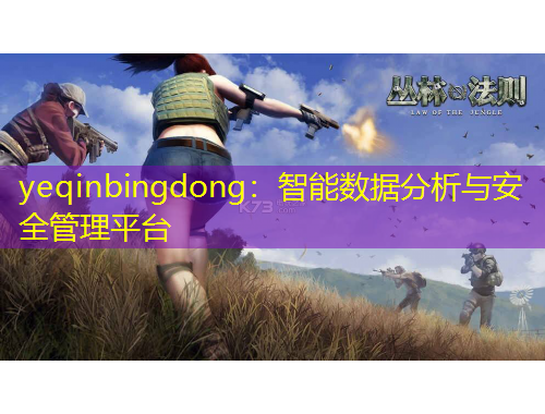 yeqinbingdong：智能数据分析与安全管理平台