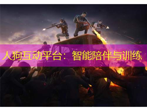 人狗互动平台：智能陪伴与训练