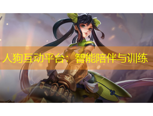 人狗互动平台：智能陪伴与训练