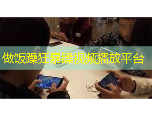 做饭躁狂暴躁视频播放平台