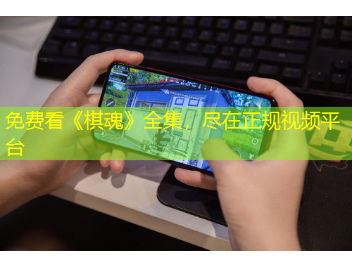 免费看《棋魂》全集，尽在正规视频平台