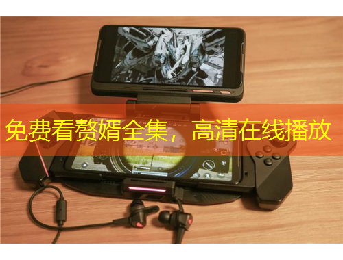 免费看赘婿全集，高清在线播放