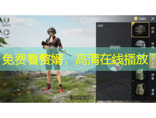 免费看赘婿，高清在线播放