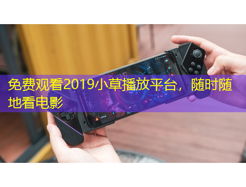 免费观看2019小草播放平台，随时随地看电影