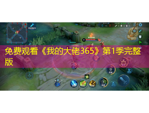 免费观看《我的大佬365》第1季完整版