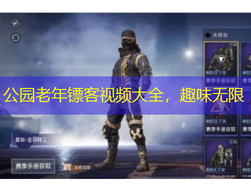 公园老年镖客视频大全，趣味无限