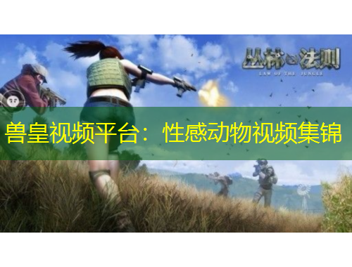 兽皇视频平台：性感动物视频集锦