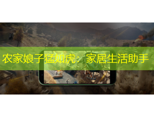 农家娘子猛如虎：家居生活助手