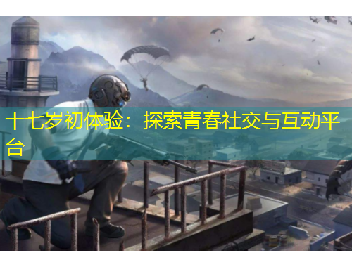 十七岁初体验：探索青春社交与互动平台