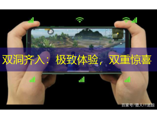 双洞齐入：极致体验，双重惊喜