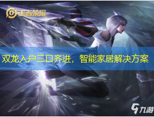双龙入户三口齐进，智能家居解决方案