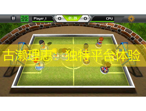 古濑理惠：独特平台体验