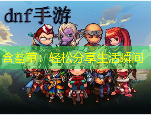 含蓄草：轻松分享生活瞬间