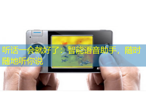 听话一会就好了：智能语音助手，随时随地听你说