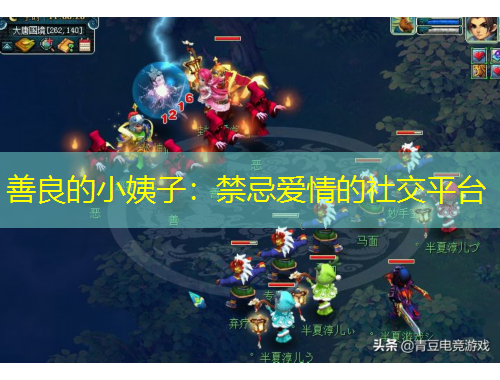 善良的小姨子：禁忌爱情的社交平台