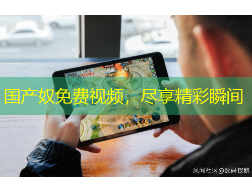 国产奴免费视频，尽享精彩瞬间