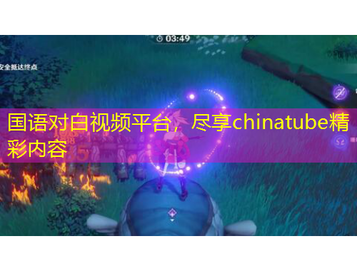 国语对白视频平台，尽享chinatube精彩内容