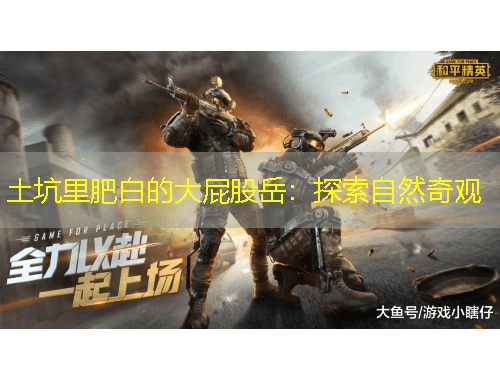 土坑里肥白的大屁股岳：探索自然奇观
