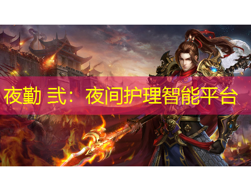 夜勤 弐:夜间护理智能平台