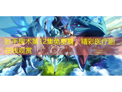 妙手房术第12集免费看，精彩医疗剧在线观赏