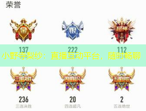 小野寺梨纱：直播互动平台，随时畅聊