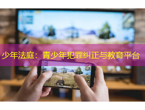 少年法庭：青少年犯罪纠正与教育平台