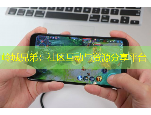 岭城兄弟：社区互动与资源分享平台