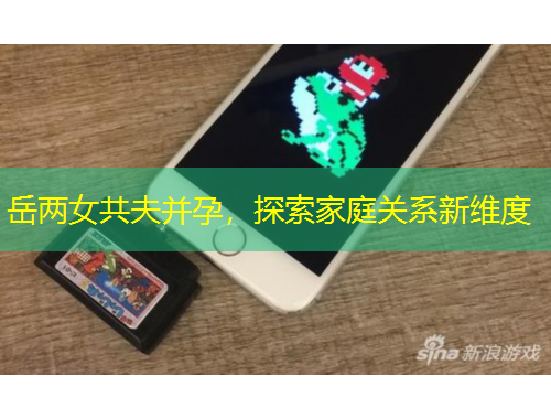 岳两女共夫并孕，探索家庭关系新维度