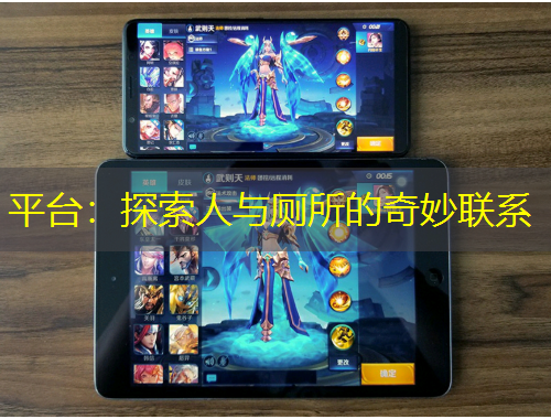平台：探索人与厕所的奇妙联系