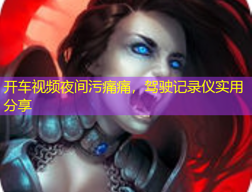 开车视频夜间污痛痛,驾驶记录仪实用分享