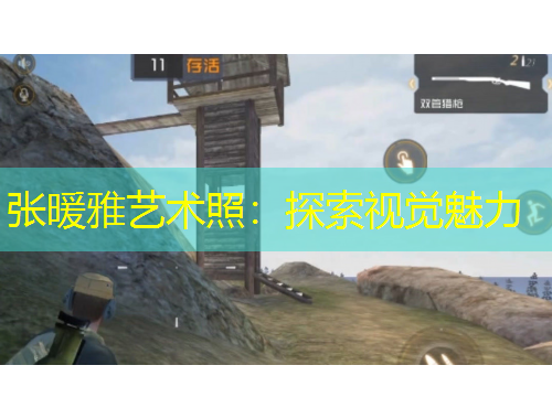 张暖雅艺术照：探索视觉魅力