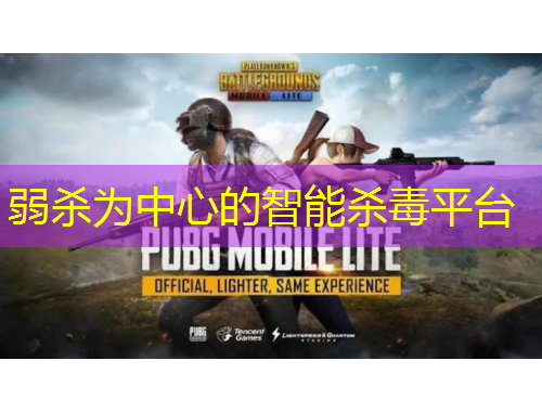 弱杀为中心的智能杀毒平台