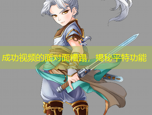 成功视频的面对面糟蹋，揭秘平特功能