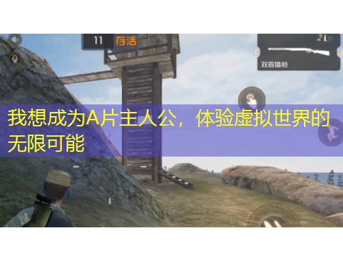 我想成为A片主人公，体验虚拟世界的无限可能