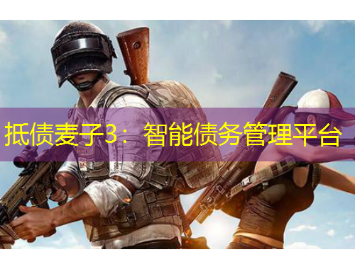 抵债麦子3：智能债务管理平台